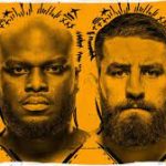 UFC Fight Night : Lewis vs Daukaus
