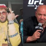 Dana White And Jak Paul